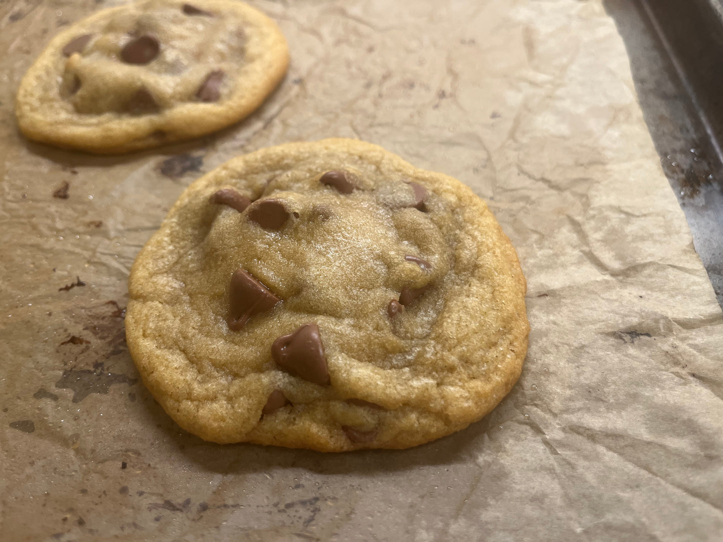 Homemade Chocolate Chip (12 Count) Milk Chocolate