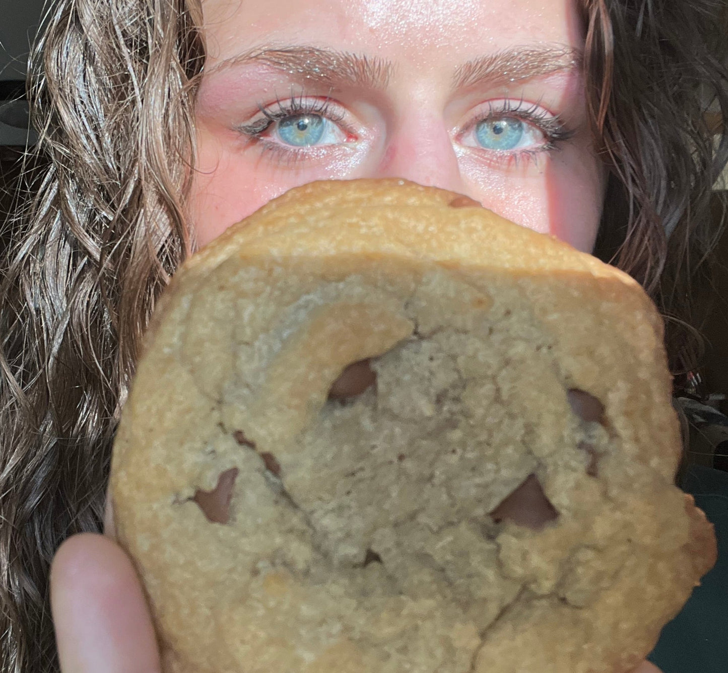 Homemade Chocolate Chip (12 Count) Milk Chocolate